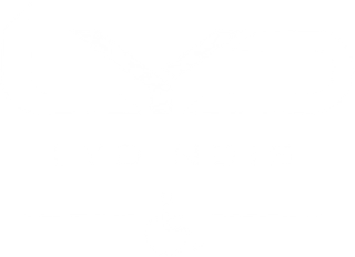 LYD NDIS